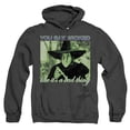 thumbnail image 1 of The Wizard of Oz Wicked Witch Unisex Adult Pull-Over Heather Hoodie, Black Heather, 2X-Large, 1 of 4