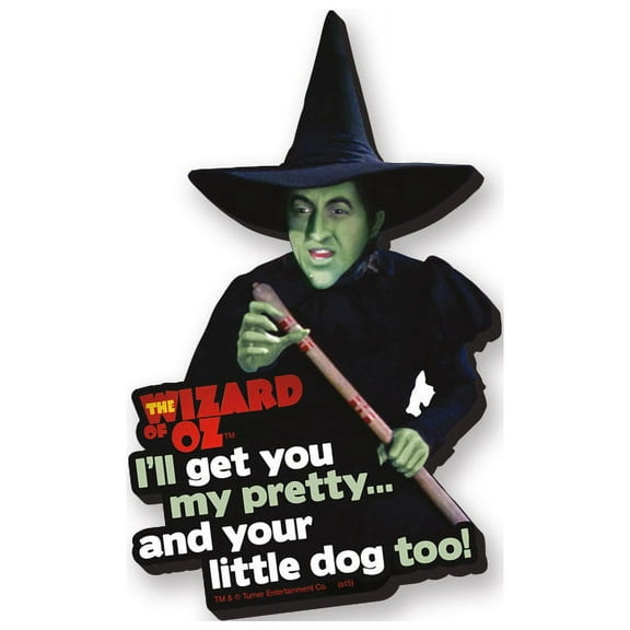 The Wizard of Oz Wicked Witch of the West Funky Chunky Magnet