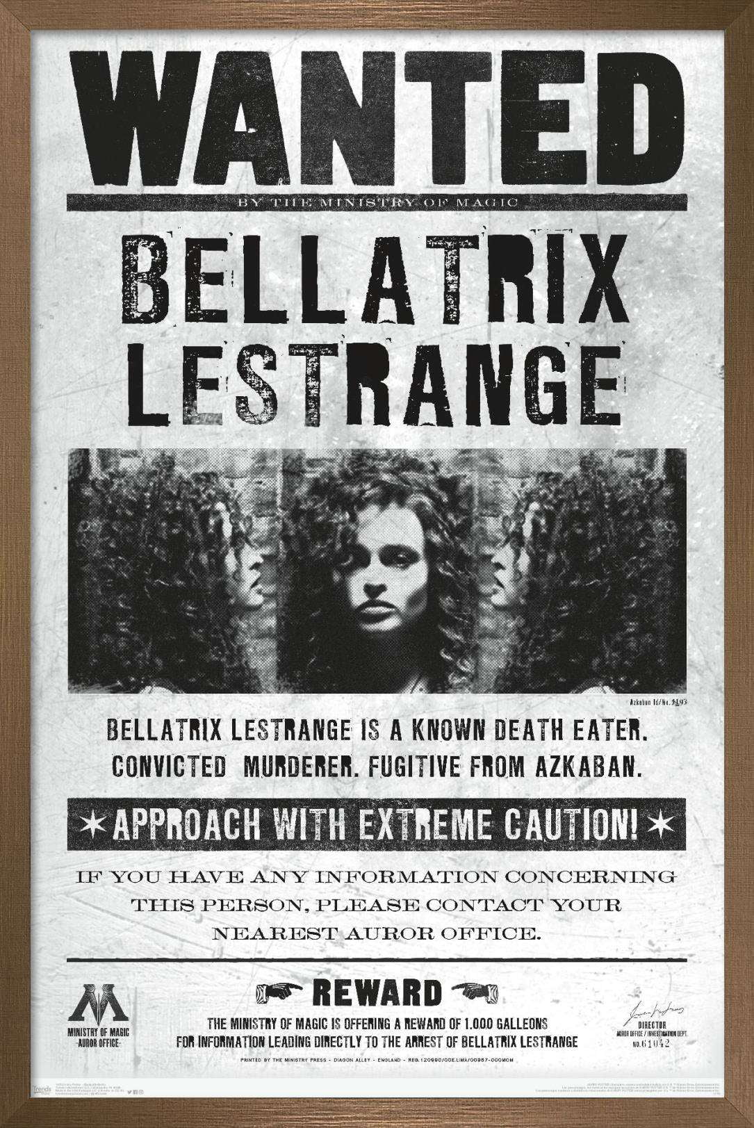 The Wizarding World: Harry Potter - Bellatrix Wanted Poster