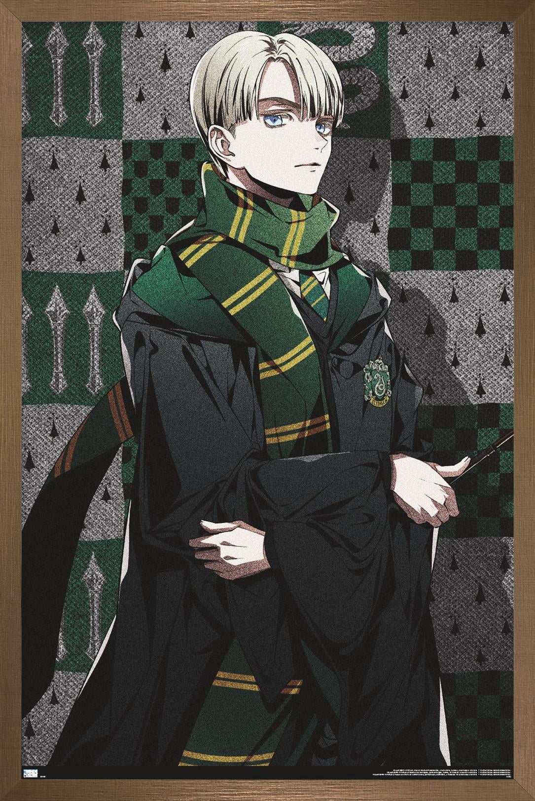 The Wizarding World: Harry Potter - Dynasty Draco Wall Poster, 22.375" x 34" Framed