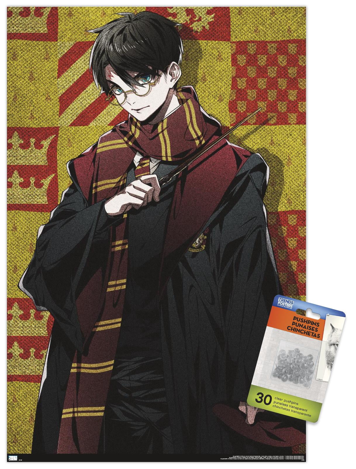 The Wizarding World: Harry Potter - Dynasty Harry Wall Poster with Push Pins, 14.725" x 22.375"
