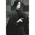 thumbnail image 1 of The Wizarding World: Harry Potter - Dynasty Snape Wall Poster, 14.725" x 22.375", 1 of 4