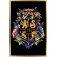 thumbnail image 1 of The Wizarding World: Harry Potter - Floral House Crests Wall Poster, 22.375" x 34", Framed, 1 of 3