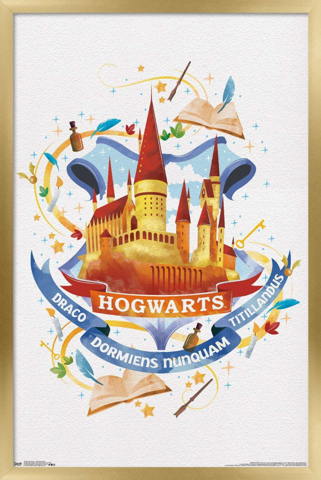 The Wizarding World: Harry Potter - Hogwarts Castle Charm Wall Poster, 14.725" x 22.375", Framed
