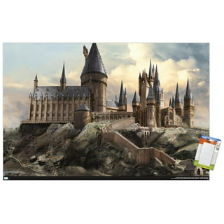Harry Potter™ All Room Accessories