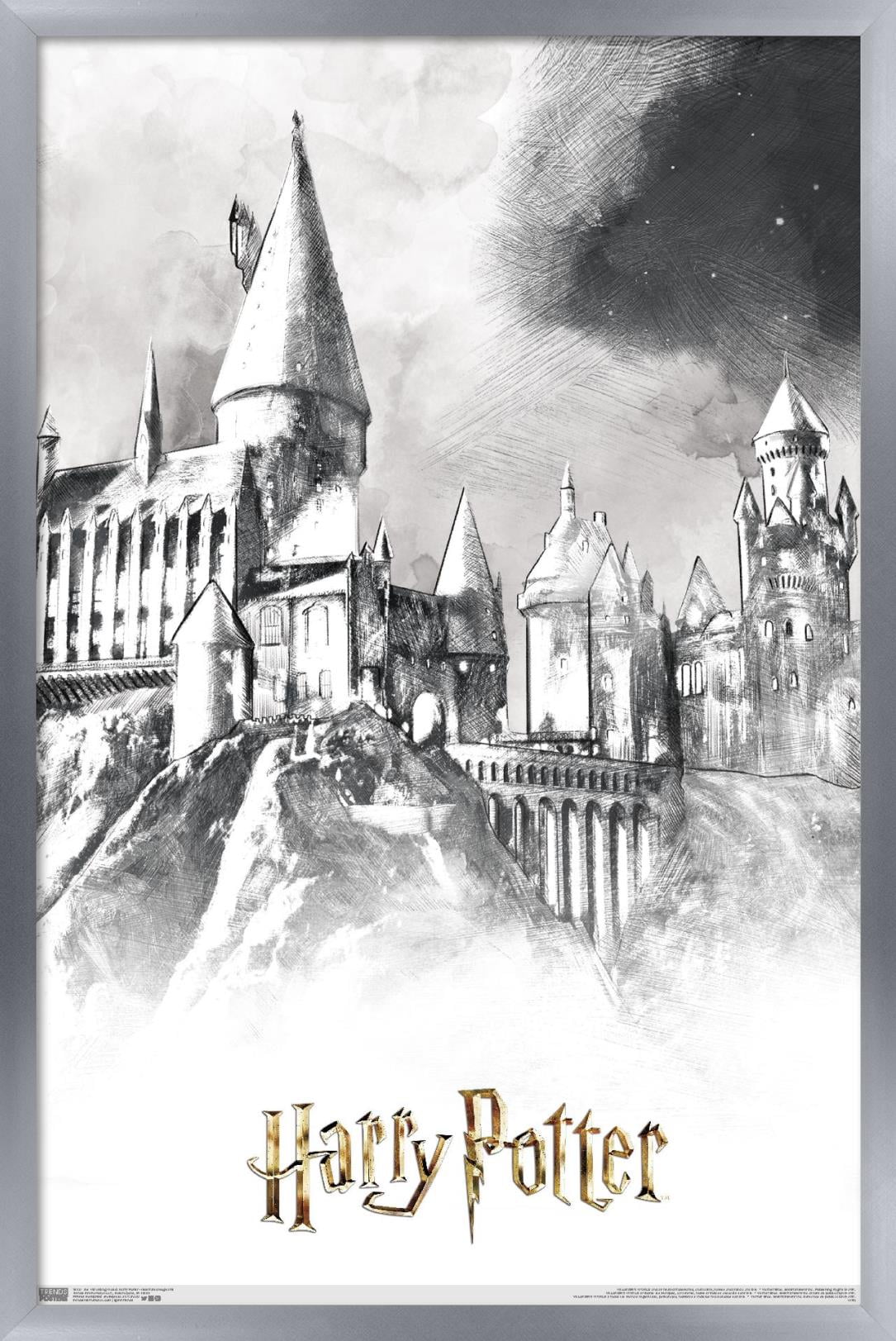 レア　Harry Potter ホグワーツ 額装アート The-Wizarding-World-Harry-