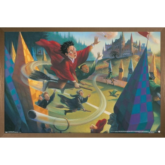 The Wizarding World: Harry Potter - Illustrated Quidditch Wall Poster, 14.725" x 22.375", Framed