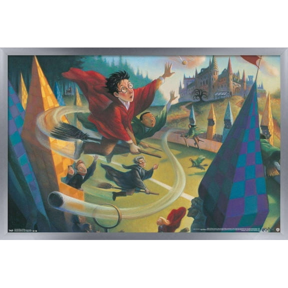 The Wizarding World: Harry Potter - Illustrated Quidditch Wall Poster, 14.725" x 22.375", Framed