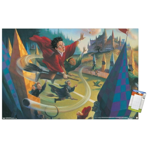 The Wizarding World: Harry Potter - Illustrated Quidditch Wall Poster, 14.725" x 22.375"