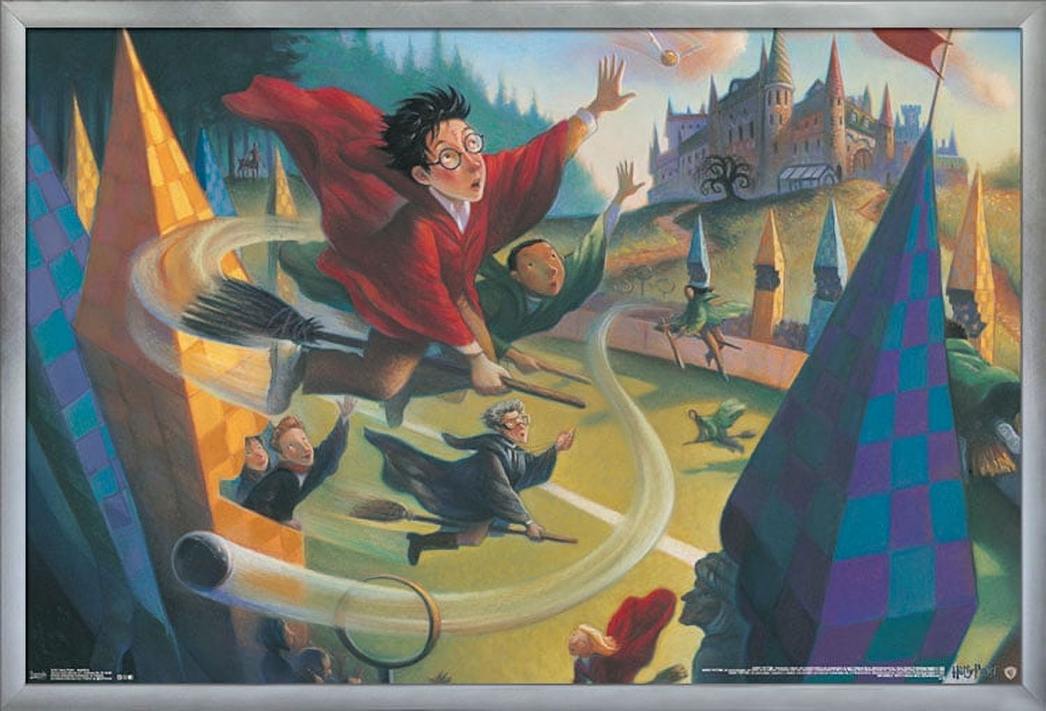 The Wizarding World: Harry Potter - Illustrated Quidditch Wall Poster, 22.375" x 34", Framed