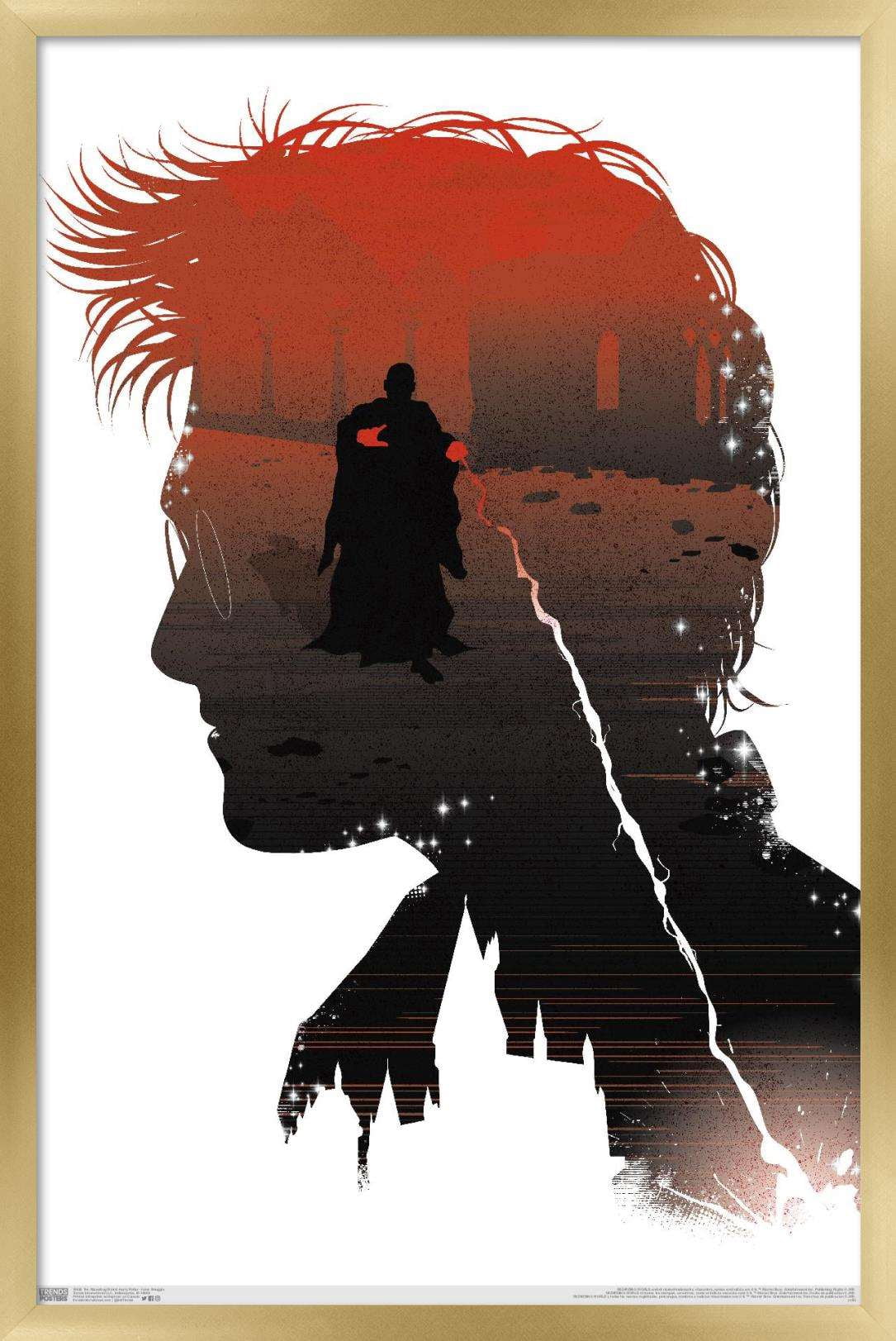 The Wizarding World: Harry Potter - Inner Struggle Wall Poster, 22.375" x 34", Framed