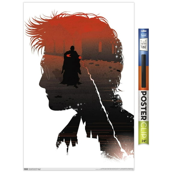 The Wizarding World: Harry Potter - Inner Struggle Wall Poster, 22.375" x 34"