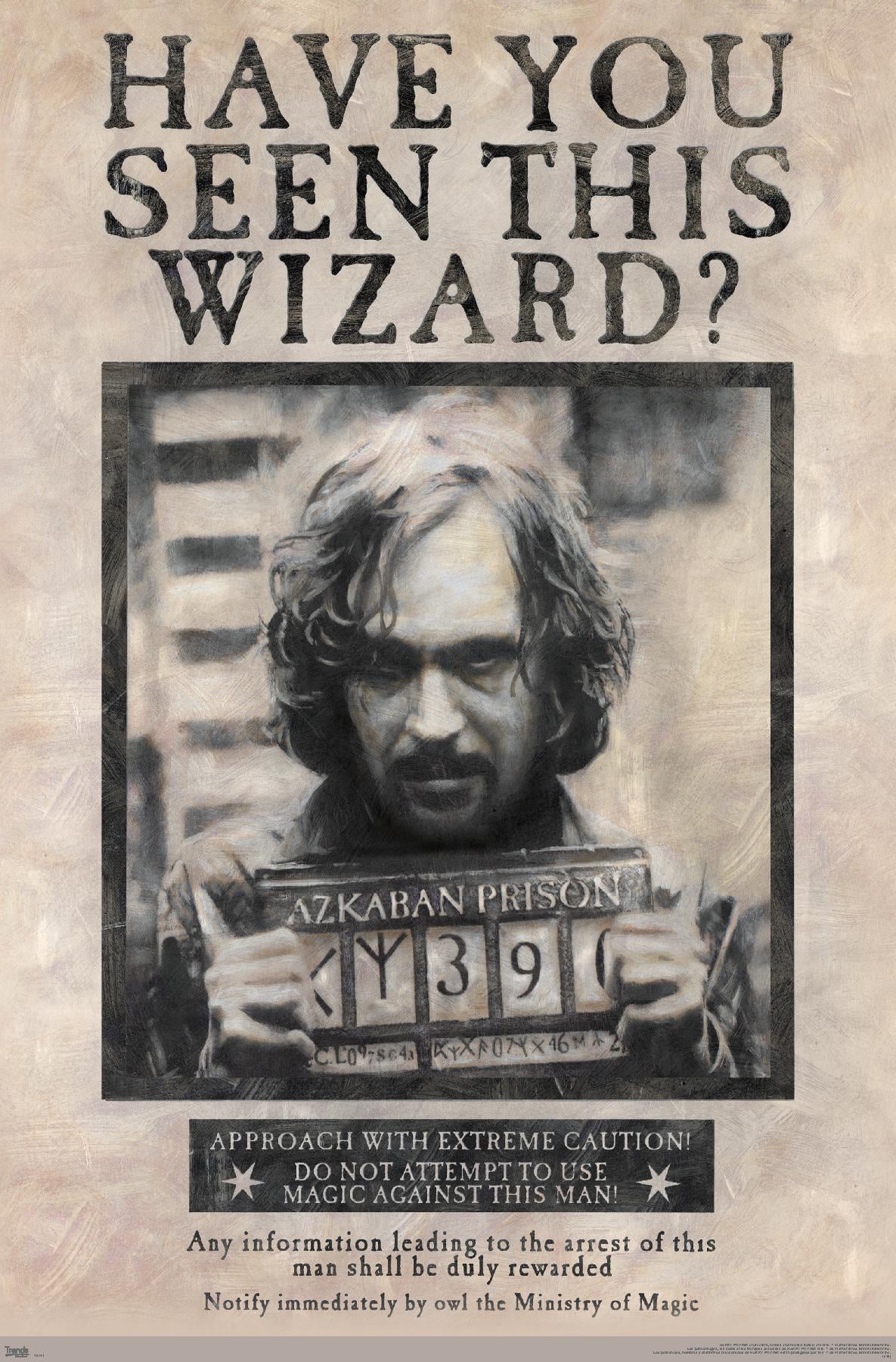 The Wizarding World: Harry Potter - Sirius Black Wanted