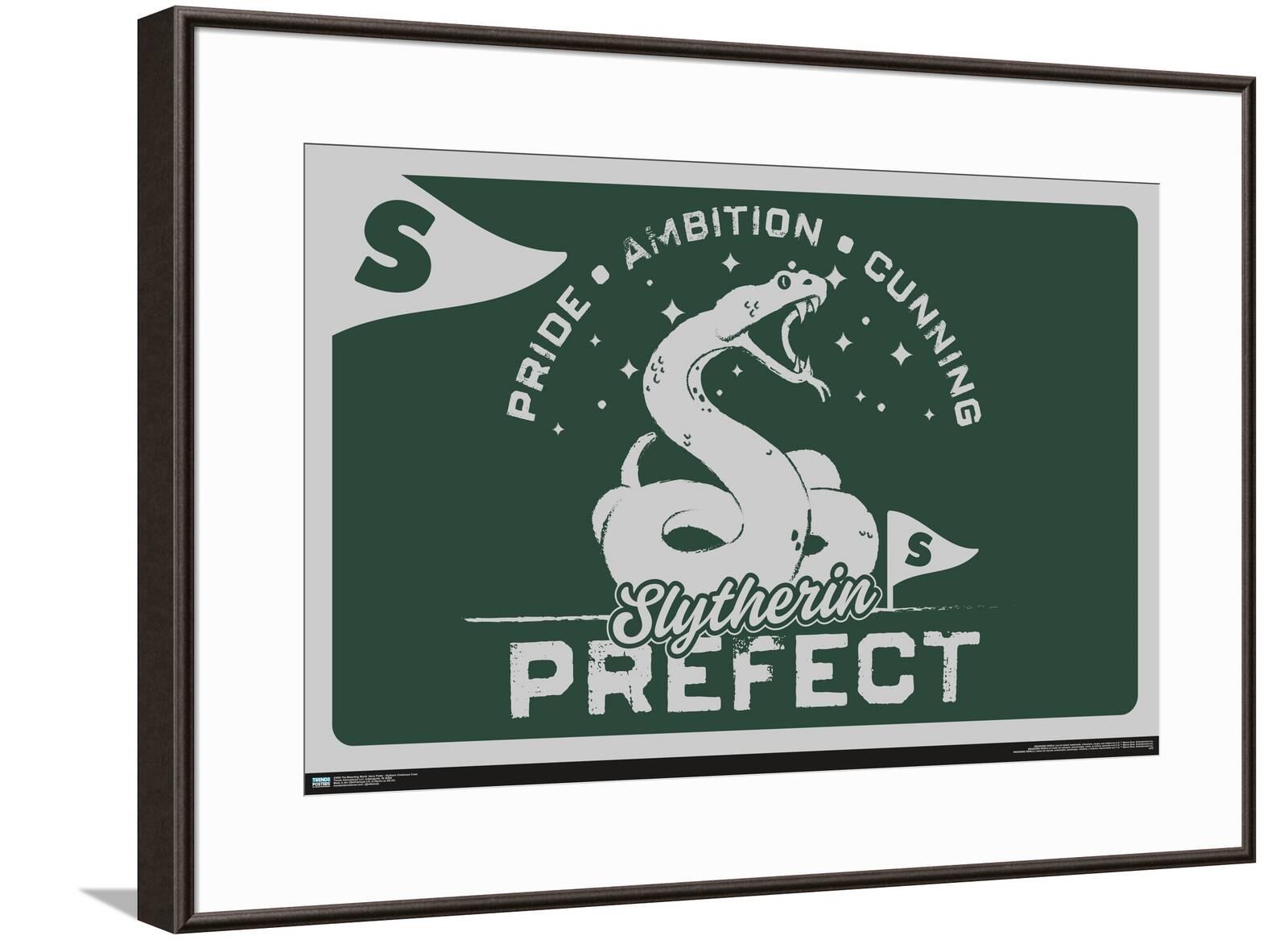 The Wizarding World: Harry Potter - Slytherin Clubhouse Crest Canvas ...