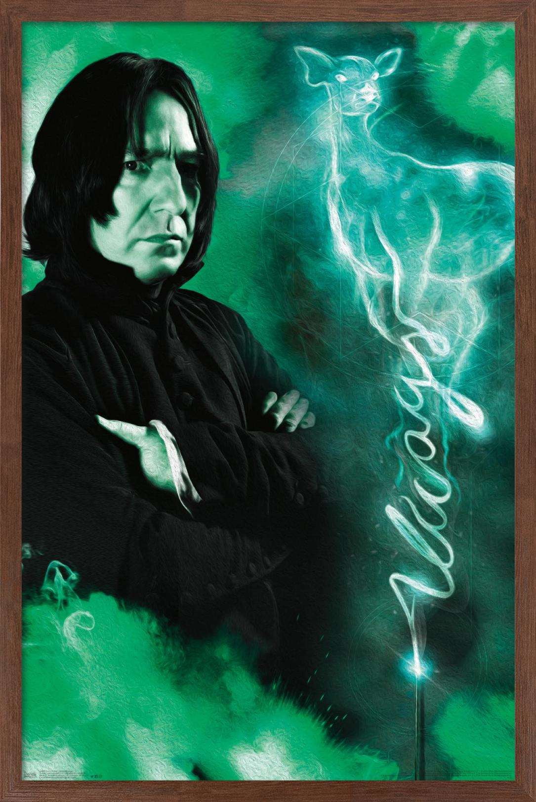 The Wizarding World: Harry Potter - Snape Always Wall Poster, 14.725" x 22.375", Framed