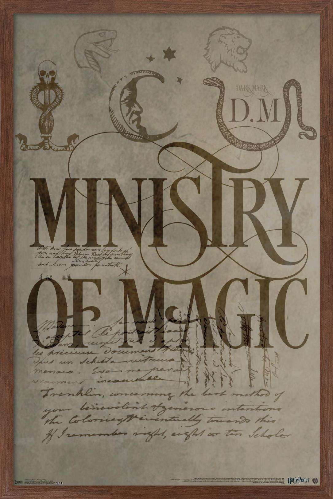 The Wizarding World: Harry Potter - The Ministry of Magic Wall Poster, 14.725" x 22.375", Framed