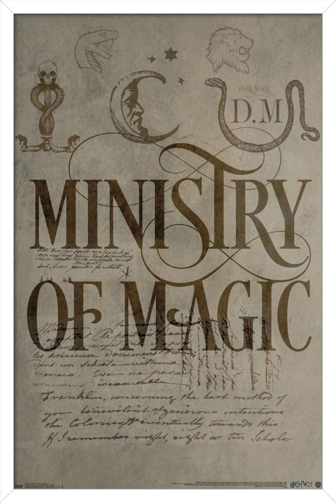 The Wizarding World: Harry Potter - The Ministry of Magic Wall Poster, 14.725" x 22.375", Framed