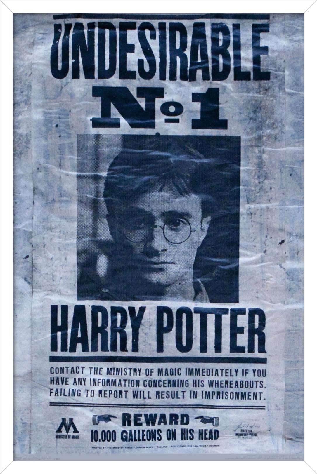 The Wizarding World: Harry Potter - Undesirable Wall Poster, 14.725" x 22.375", Framed