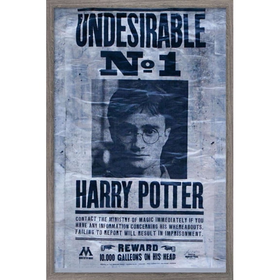 The Wizarding World: Harry Potter - Undesirable Wall Poster, 14.725" x 22.375", Framed