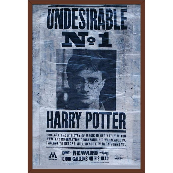 The Wizarding World: Harry Potter - Undesirable Wall Poster, 22.375" x 34", Framed