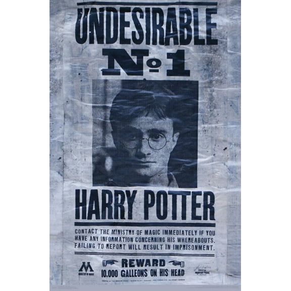 The Wizarding World: Harry Potter - Undesirable Wall Poster, 22.375" x 34"