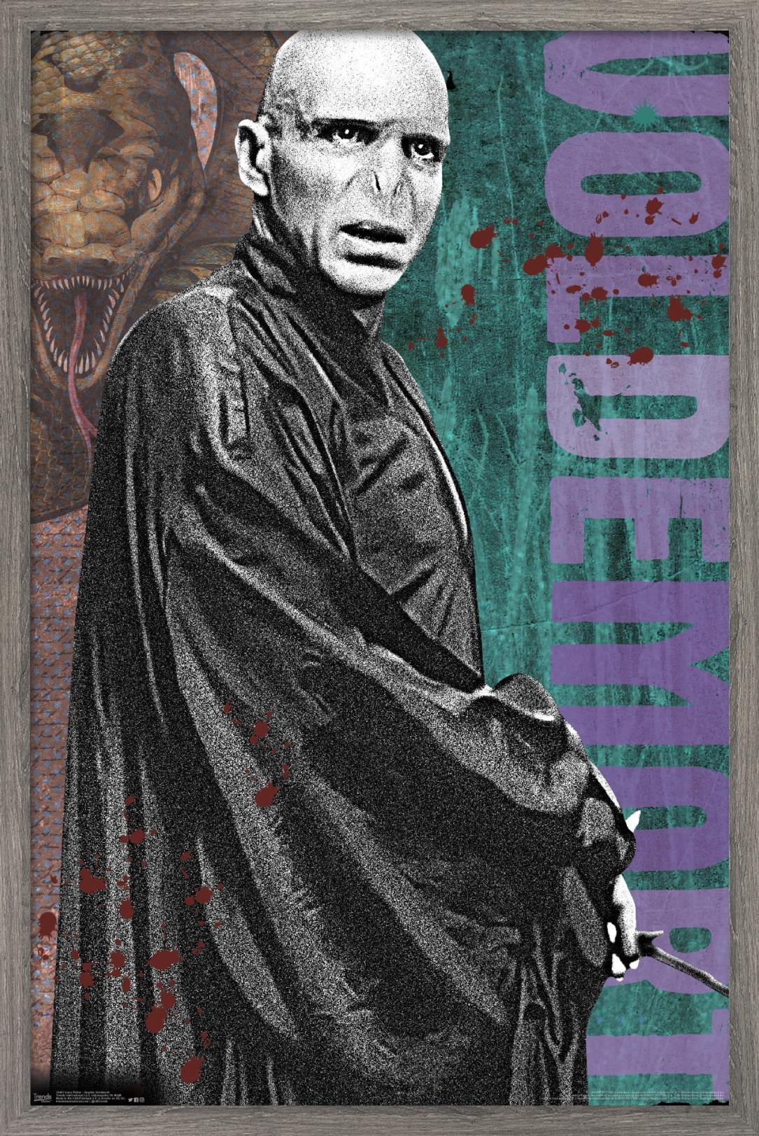 The Wizarding World: Harry Potter - Voldemort with Wand Wall Poster, 14.725" x 22.375", Framed