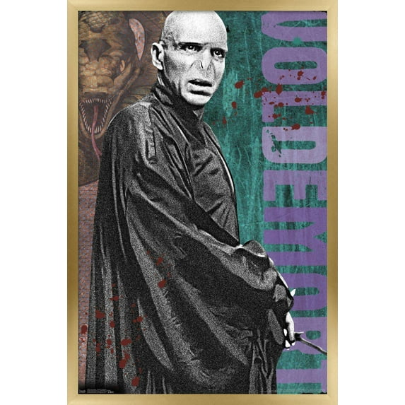 The Wizarding World: Harry Potter - Voldemort with Wand Wall Poster, 22.375" x 34", Framed