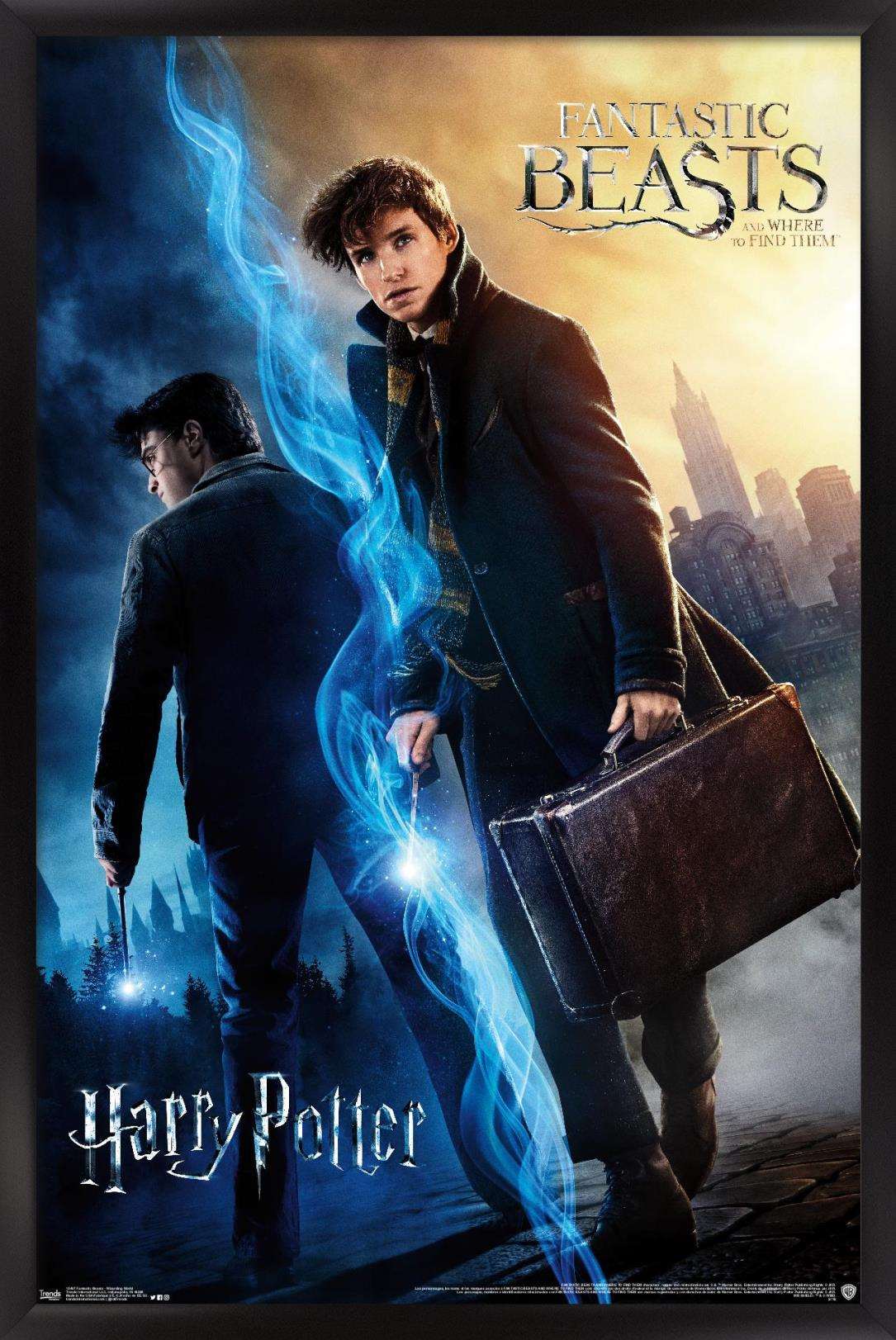 The Wizarding World: Harry Potter and Fantastic Beasts Wall Poster, 14.725" x 22.375", Framed