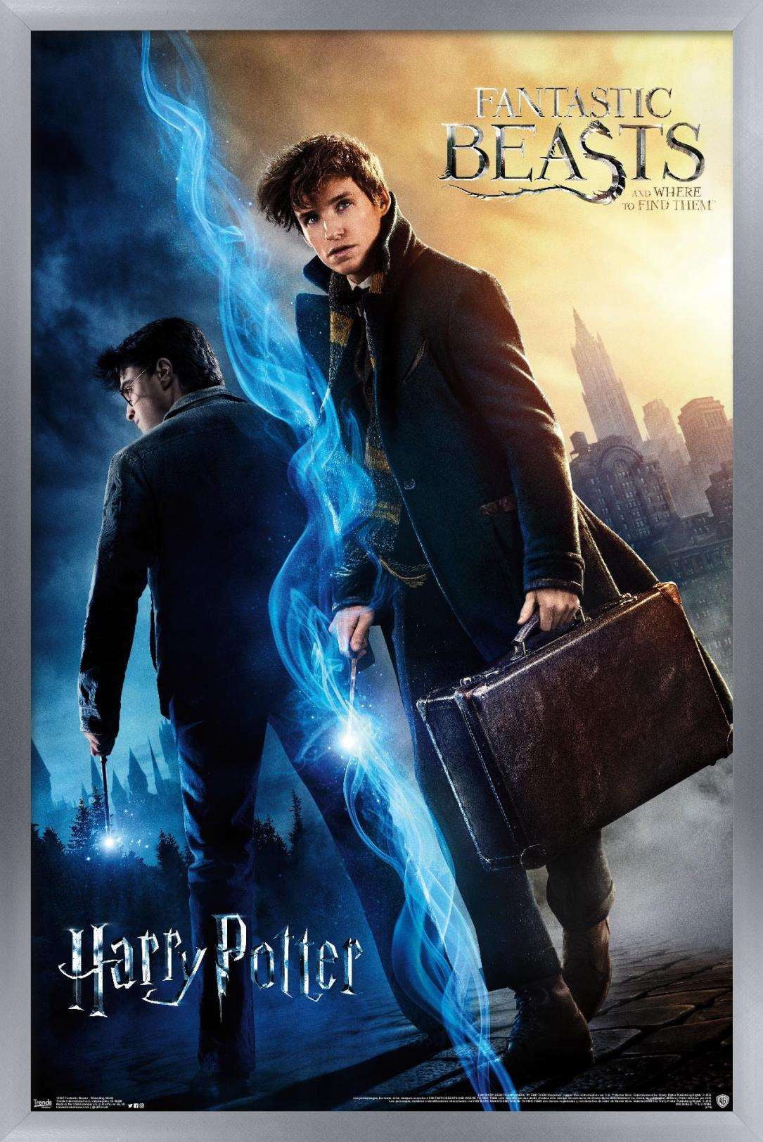 The Wizarding World: Harry Potter and Fantastic Beasts Wall Poster, 14.725" x 22.375", Framed