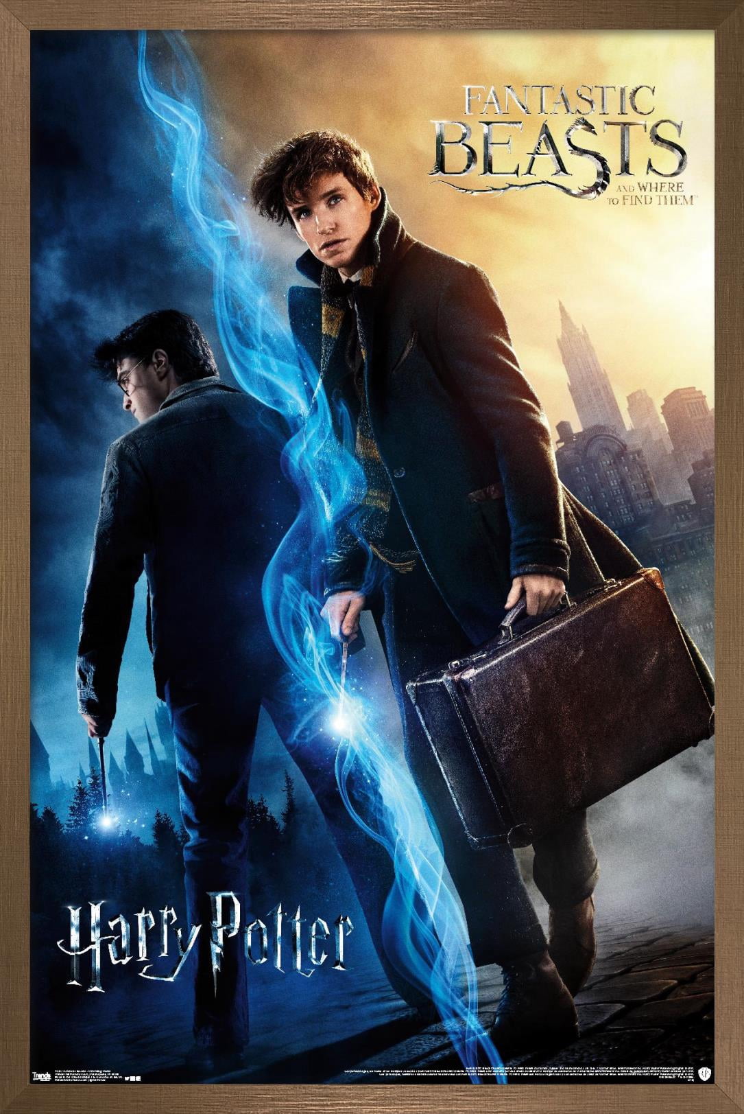 The Wizarding World: Harry Potter and Fantastic Beasts Wall Poster, 14.725" x 22.375", Framed