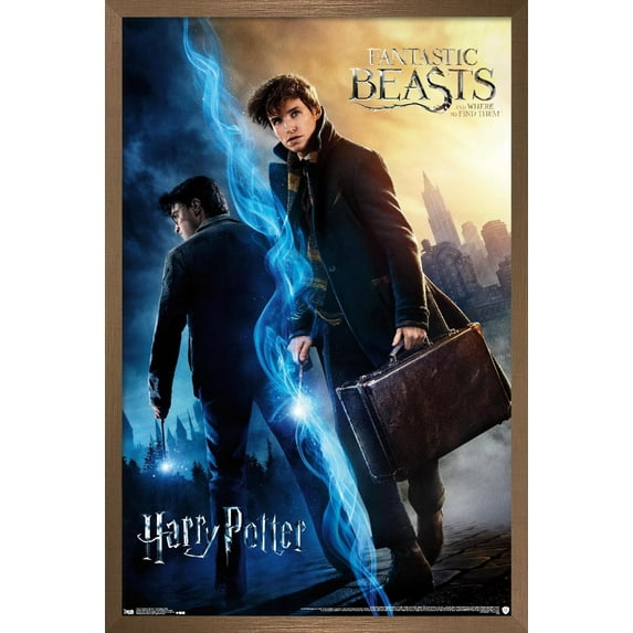 The Wizarding World: Harry Potter and Fantastic Beasts Wall Poster, 14.725" x 22.375", Framed