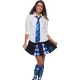 thumbnail image 1 of The Wizarding World Of Harry Potter Ravenclaw Tie, 1 of 2