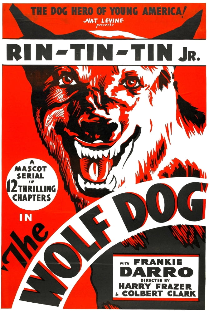 The Wolf Dog Canvas Art - (11 x 17)