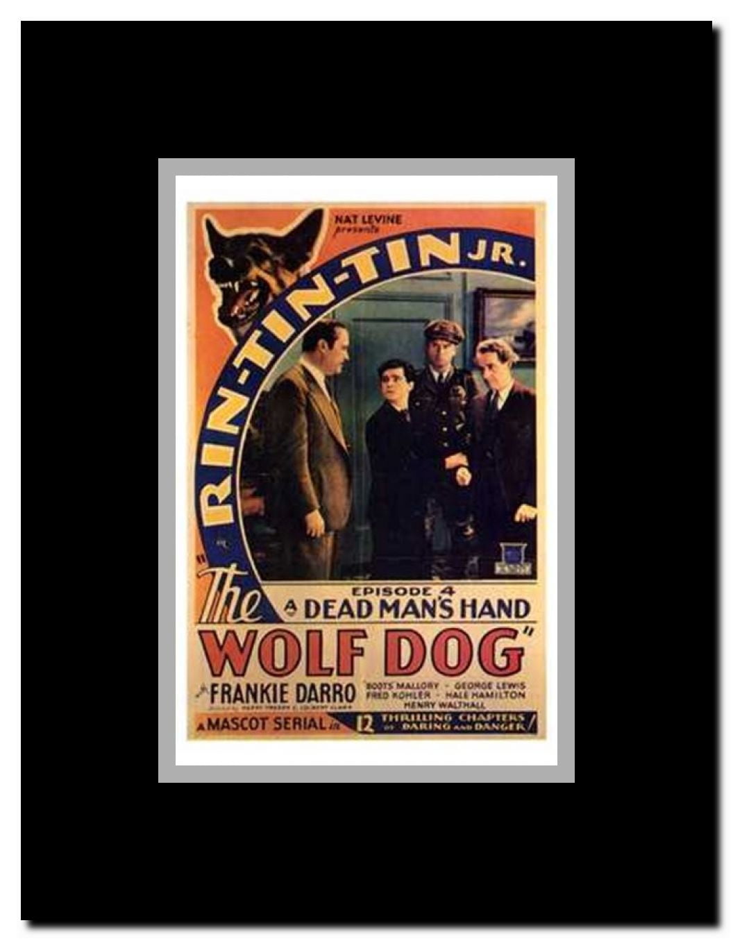 The Wolf Dog Framed Movie Poster