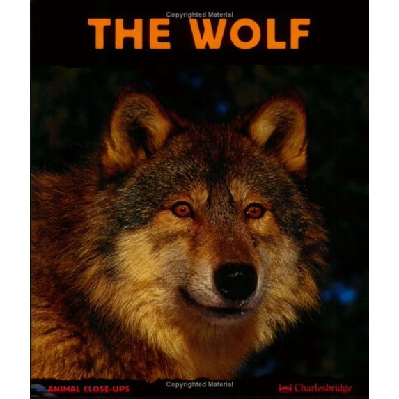 Pre-Owned The Wolf : Night Howler (Paperback) 9781570916304