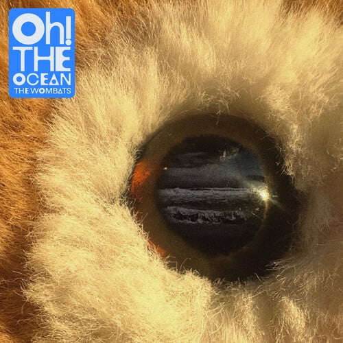 The Wombats - Oh! The Ocean - Music & Performance - CD