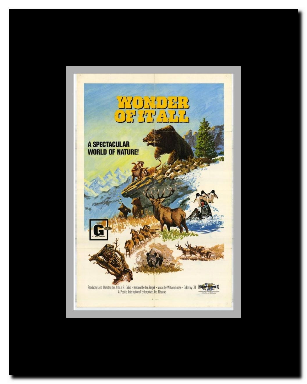 The Wonder Of It All Framed Movie Poster