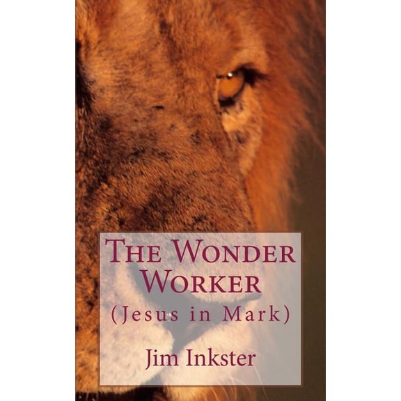 The Wonder Worker: Jesus in the Book of Mark, (Paperback)