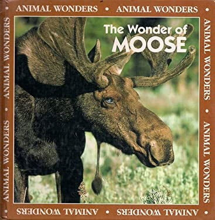 Pre-Owned The Wonder of Moose (Library Binding) 9780836815610 - Walmart.com