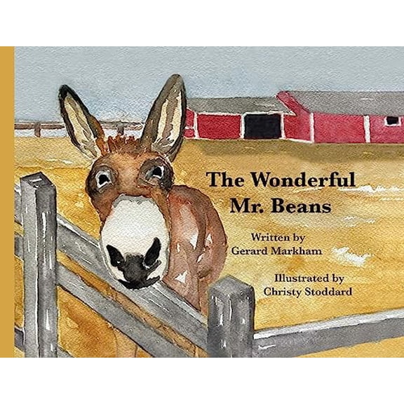 Pre-Owned The Wonderful Mr. Beans (Paperback) 1960596071 9781960596079