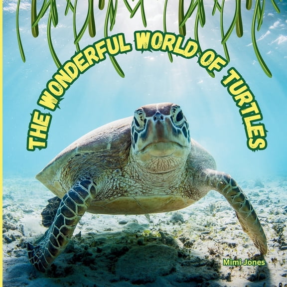 The Wonderful World Of: The Wonderful World of Turtles: Interesting Facts About Turtles, (Paperback)