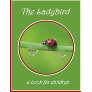 The Wonderful World of Insects The Ladybird - a book for children The lifecycle of a ladybird, Paperback