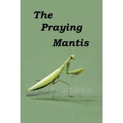 The Wonderful World of Insects The Praying Mantis All about being a Praying Mantis., Book 8, Paperback