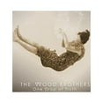 thumbnail image 1 of The Wood Brothers - One Drop Of Truth - Music & Performance - CD, 1 of 1