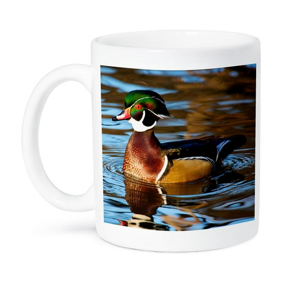 3dRose, The wood duck or Carolina duck, 11oz Mug