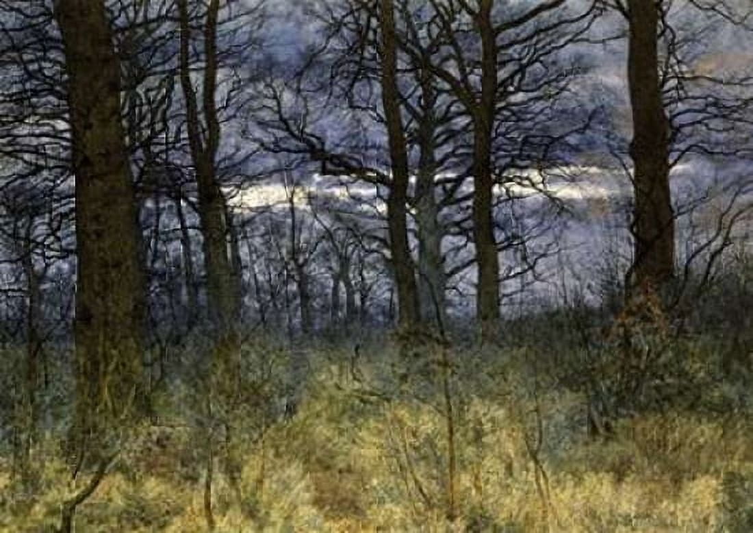 The Woods at Dusk Canvas Art - William Fraser Garden (20 x 28)