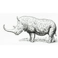 thumbnail image 1 of The Woolly Rhinoceros Coelodonta Antiquitatis. From Meyers Lexicon Published 1924. by Ken Welsh / Design Pics, 1 of 3