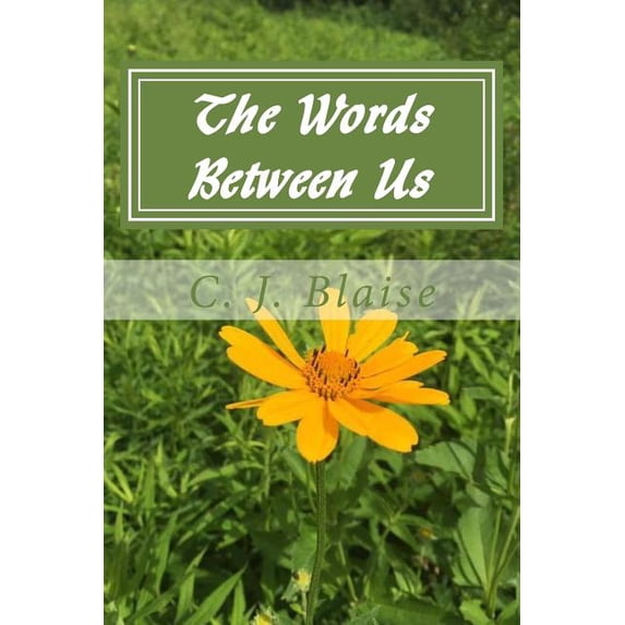 The Words Between Us