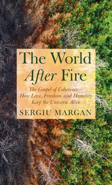The World After Fire, (Hardcover)