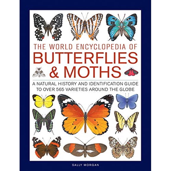 The World Encyclopedia of Butterflies Moths: A Natural History And Identification Guide To Over 565 Varieties Around The Globe